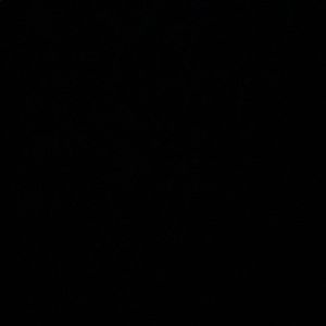 Meet your Posher, Nicky